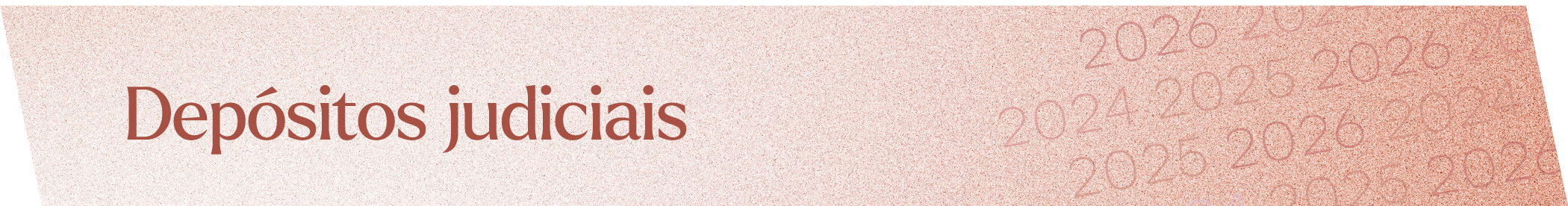 banner 2.05.png