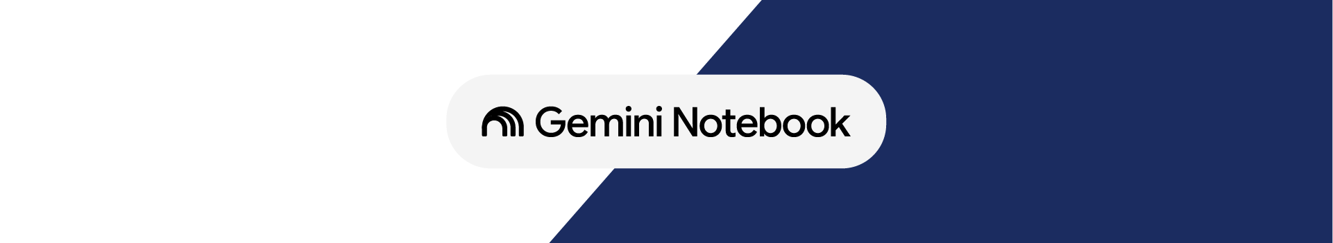 Topo_Gemini_Notebook.png