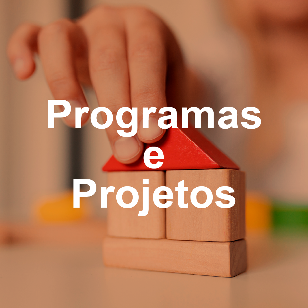 Programas e Projetos