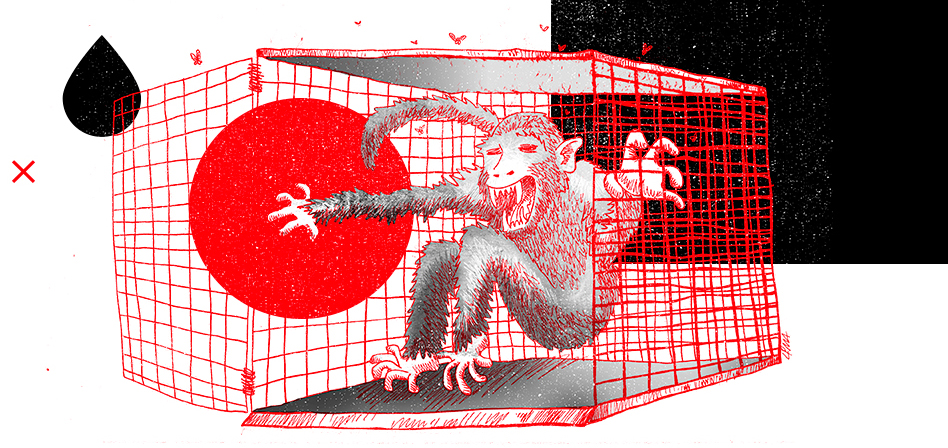 Cultura da Gaiola. Ilustração de um macaco abrindo a grade de uma gaiola.