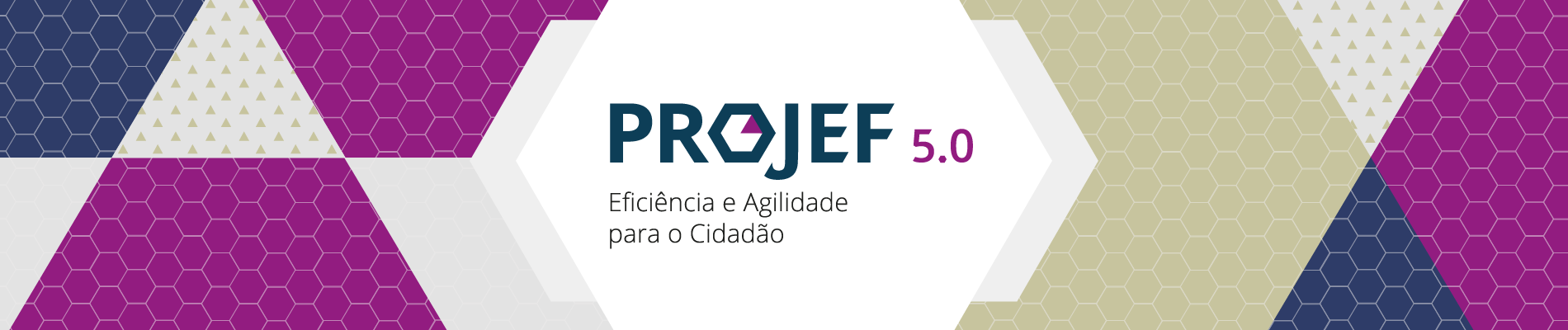 topo_projef_geral_04.jpg