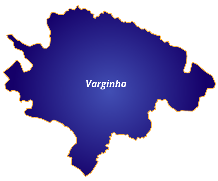 Varginha