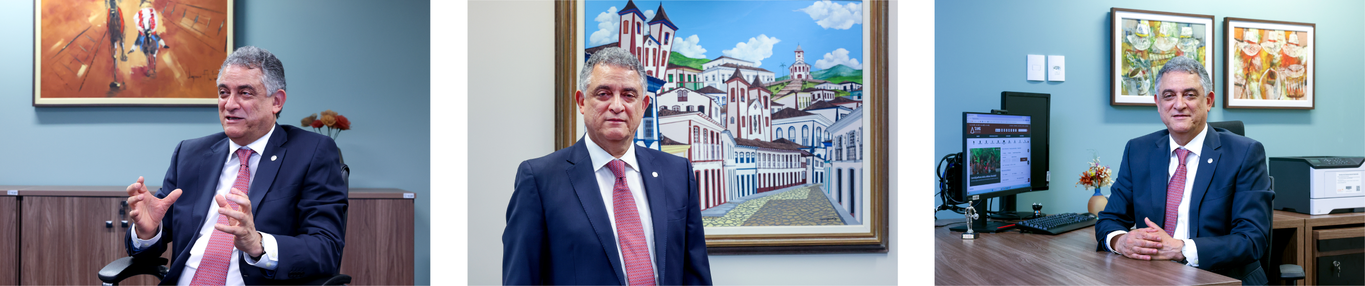 1° Vice Presidente do TJMG